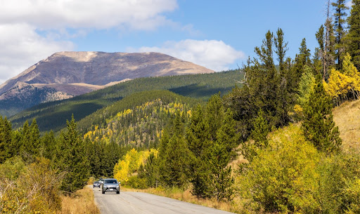 mountain road with fall colors